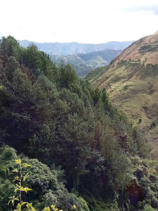Montañismo en Vilcabamba - Ecuador