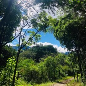 Entorno natural de los senderos de Vilcabamba