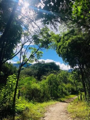 Entorno natural de los senderos de Vilcabamba