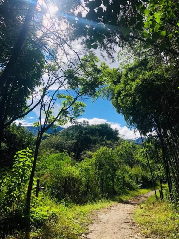 Entorno natural de los senderos de Vilcabamba