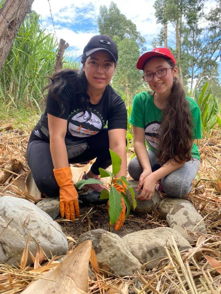 Siembra de árboles por voluntarios del EcoClub Vilcabamba