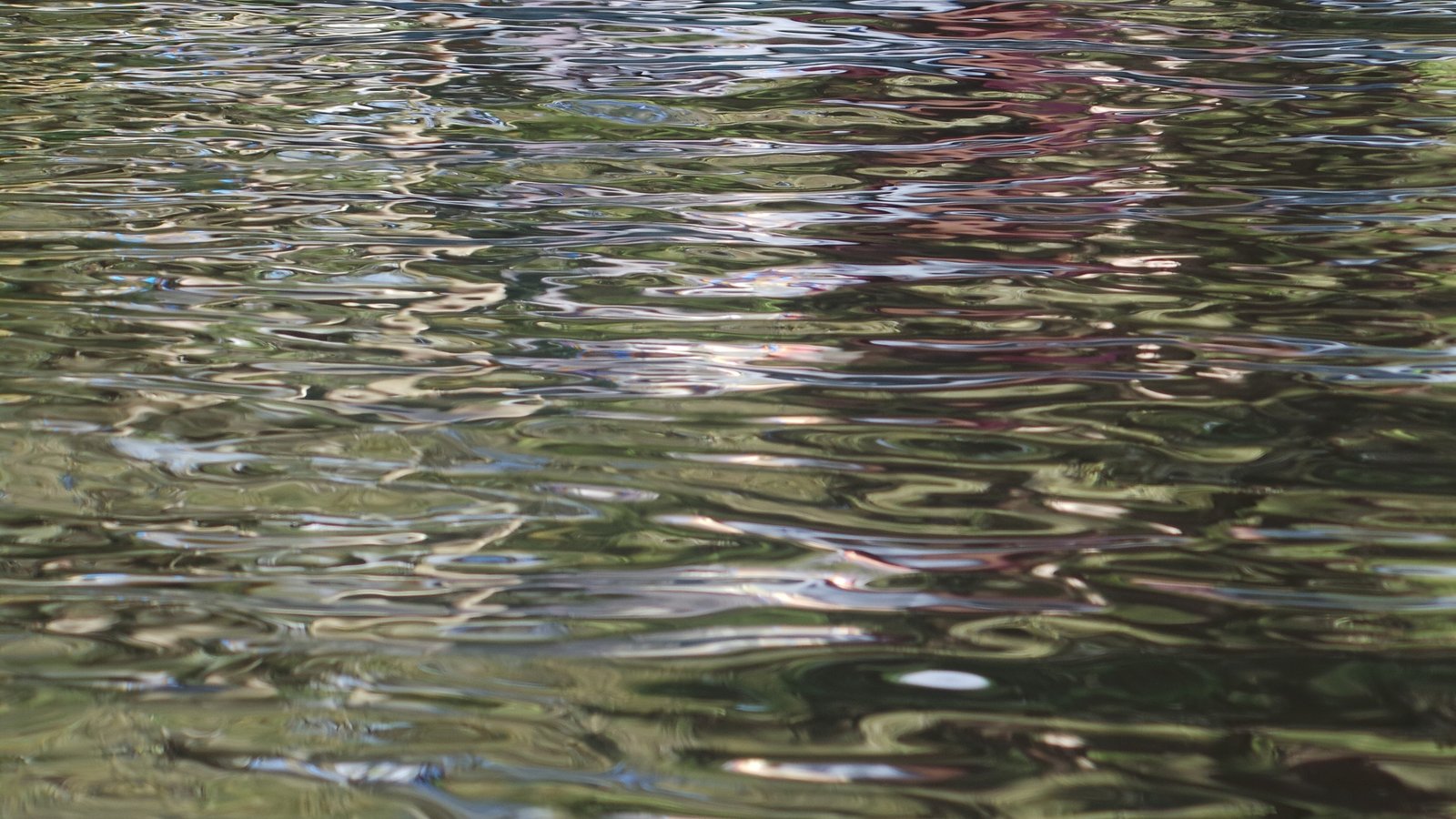 Río Vilcabamba - Primera Naturaleza con Derechos en el Mundo