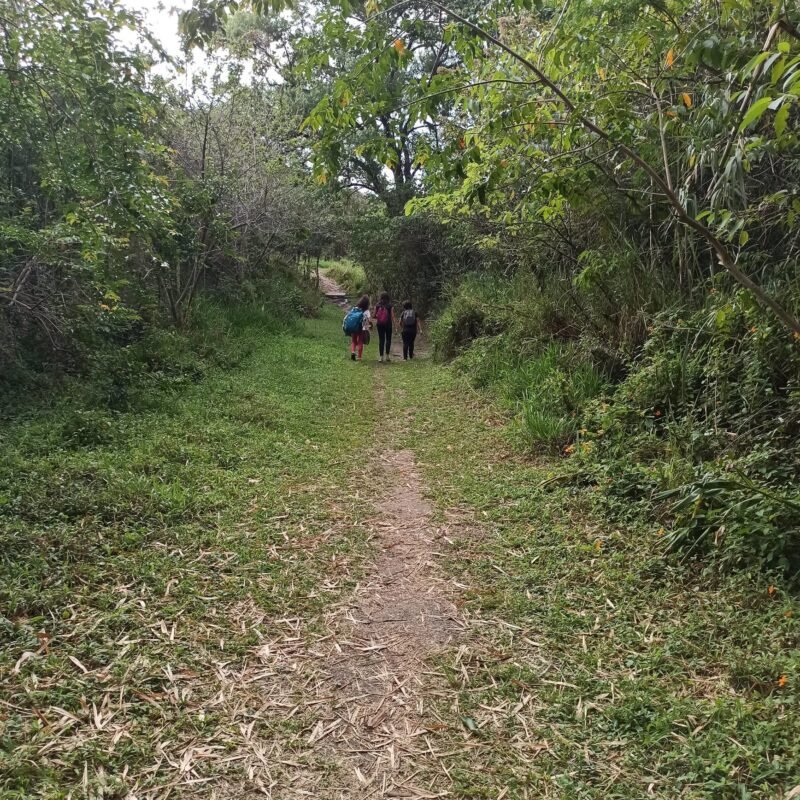 Sendero que une dos sectores, el central y de Yamburara en Vilcabamba