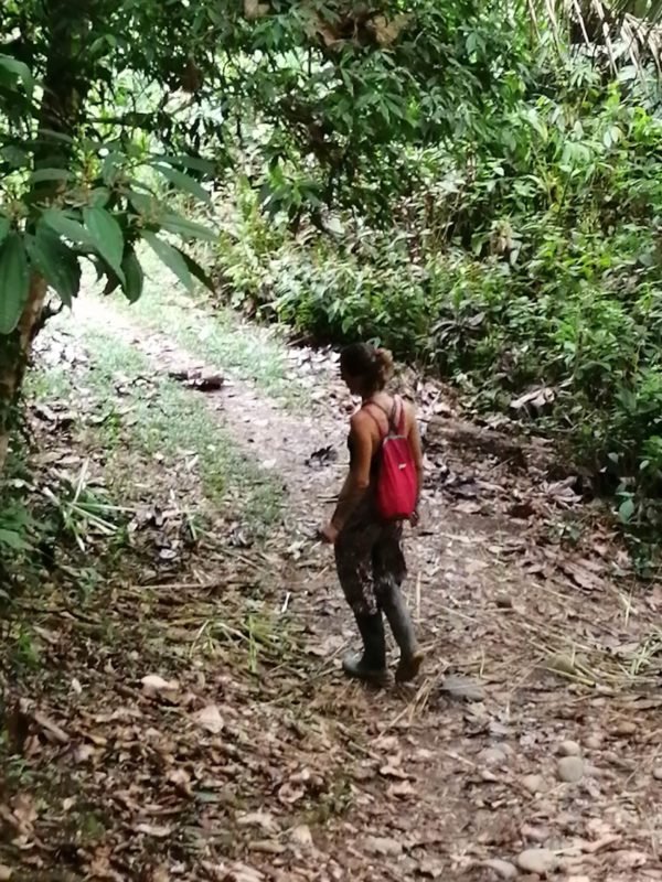 Tramo del sendero "Ruta la Cascarilla" que va hasta Vilcabamba