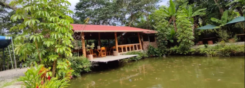 Panorámica de Como en Casa con piscina de tilapias. Restaurante en San Pedro de Vilcabamba