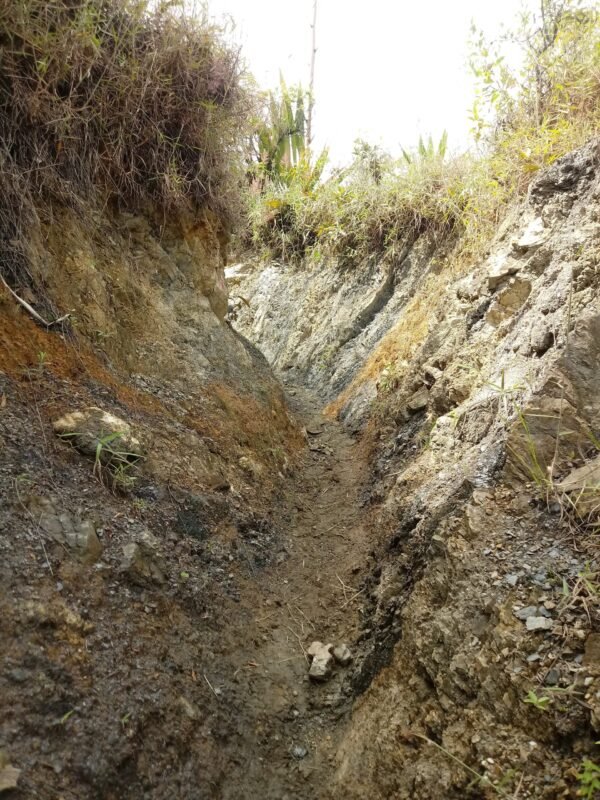 Sendero del inicio de la ruta hacia la Cascada El Palto - Vilcabamba