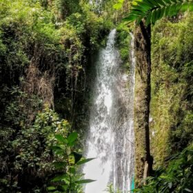 Cascada El Palto en Vilcabamba