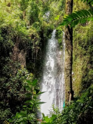 Cascada El Palto en Vilcabamba