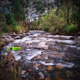 Río en Vilcabamba que se busca que sea considerado como Área de Protección Hídrica