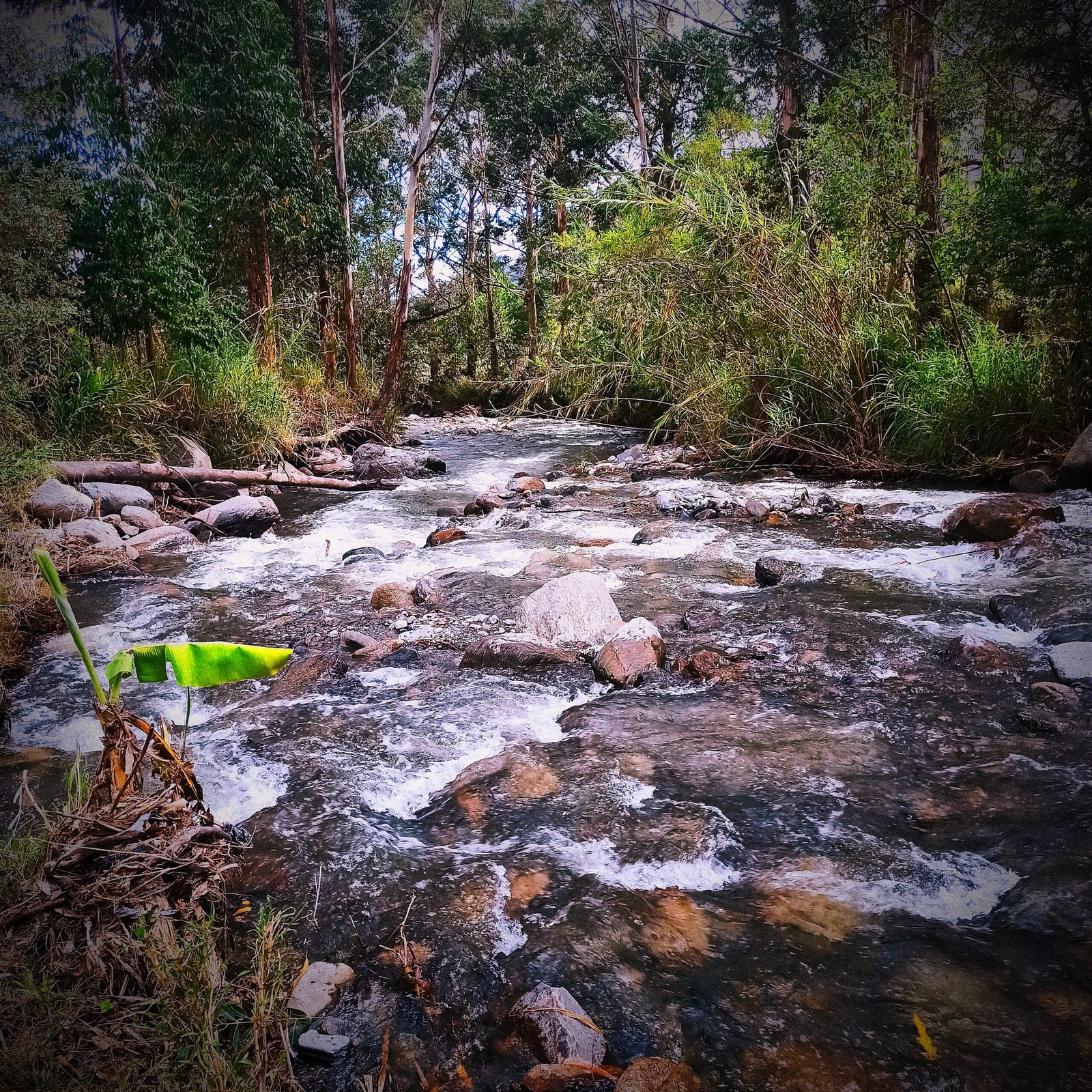 River in Vilcabamba that is being considered for designation as a Water Protection Area